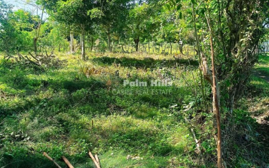 Премиум-участки под коммерческую и жилую застройку в Кабарете площадью от 1159 м² до 2310 м² – низкая цена