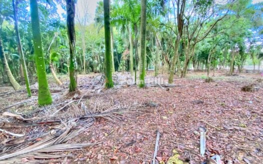 Жемчужина главной улицы, идеально подходящая для жилых или коммерческих проектов недалеко от пляжа