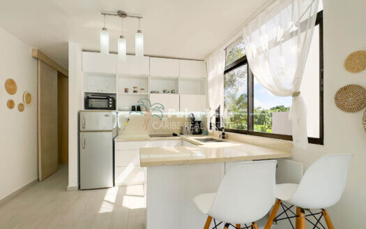 1 Bedroom Apartment in Sosua With High Rental Potential