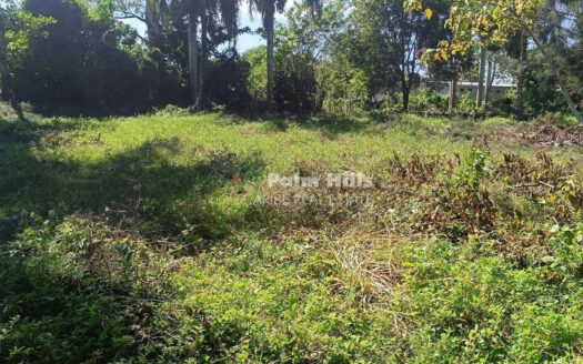 Премиум-участок под коммерческую и жилую застройку в Кабарете – 2 участка общей площадью 2310 м² – низкая цена