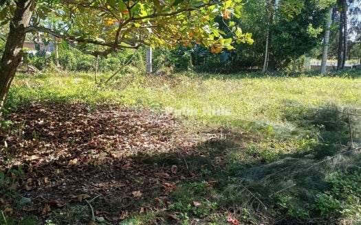 Премиум-участок под коммерческую и жилую застройку в Кабарете – 2 участка общей площадью 2310 м² – низкая цена