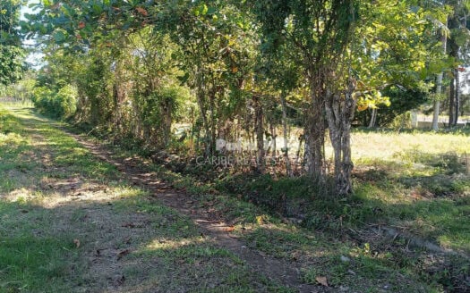 Премиум-участок под коммерческую и жилую застройку в Кабарете – 2 участка общей площадью 2310 м² – низкая цена