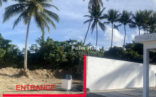 Última parcela a pocos pasos del mar: 472 m² con cocoteros y mangos. Construya su sueño caribeño.