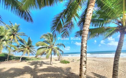 Fully Furnished Oceanfront 1-Bedroom Apartment Near Cabarete