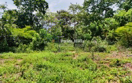 Lotes en venta – Colinas de Sosúa