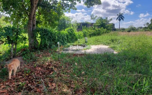 Недвижимость в центре Кабарете с большим участком, без ТСЖ