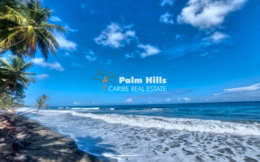 Lote frente al mar en venta – Las Cañas