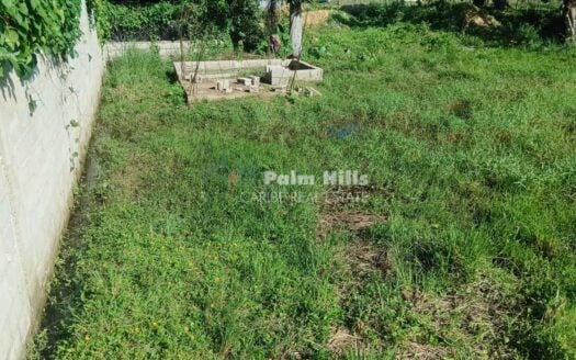 Просторный участок (1 855 м²) в нескольких минутах ходьбы от пляжа мечты в Кабарете!