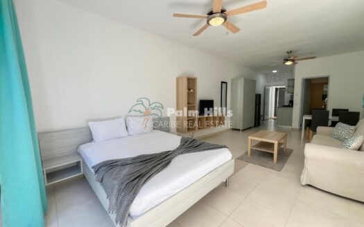 Studio confortable au bord de la piscine - à pied de la plage et du centre de Cabarete