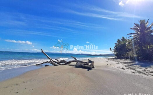 Charming 2 BR-Villa on a 6,973 m² park-like ground – just 6 minutes to the beach