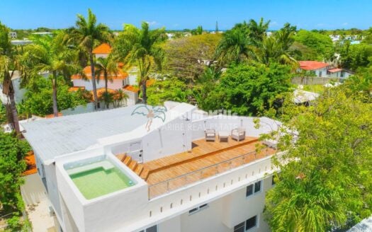 Penthouse Apartment with Private Jacuzzi & Rooftop Lounge – Minutes from the Beach