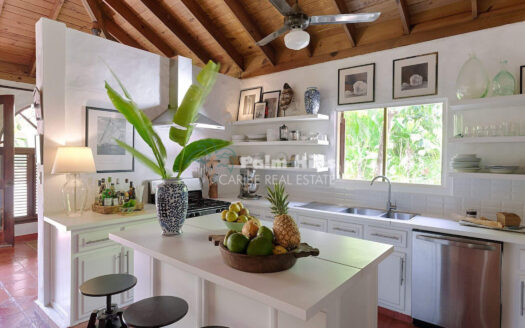 Villa Las Flores – Timeless Caribbean Charm