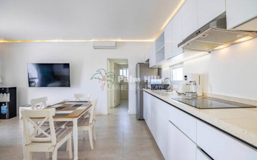 Ocean View 1-Bedroom Condo in Sosúa Ocean Village