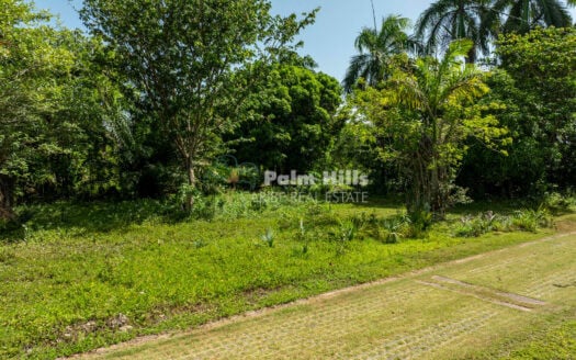 Build Your Dream Home Just Steps from Cabarete’s Beach