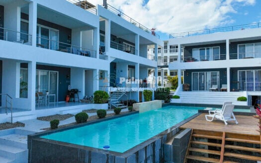 Modern 1-Bedroom Ocean View Apartment Near Encuentro Beach