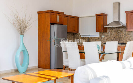 Spacious 2-Story Apartment with Ocean Views & Private Terrace in Sosúa