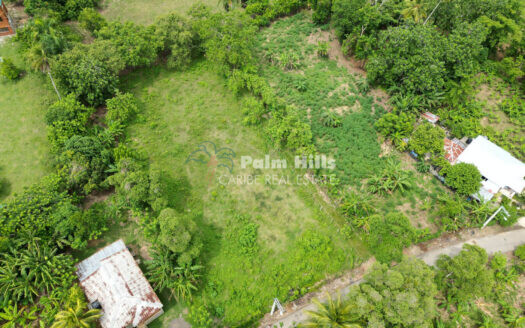 Surrounded by Nature Land for Sale in Jamao del Norte