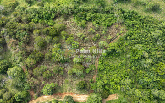 Large 9,672 m² Land Parcel for Sale in Sosúa