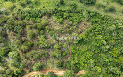 Large 9,672 m² Land Parcel for Sale in Sosúa