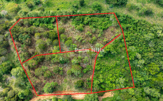 Your Piece of Paradise Awaits in Sosua