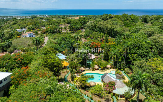 Live, Host & Invest! Boutique Hotel with Restaurant, 200 m2 Pool & 5-Bedroom-Villa – Short drive to Various Dream Beaches