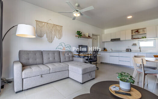 A Coastal Escape: Tastefully Furnished 1-Bedroom Apartment with Partial Ocean Views in Sosúa